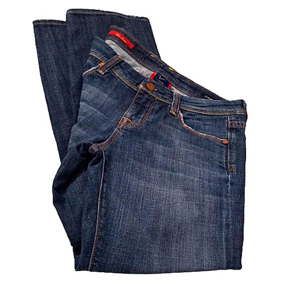 Vigoss Studio Christina Stretch Cropped Jeans